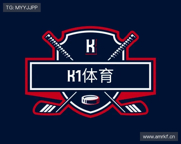 介绍K1体育